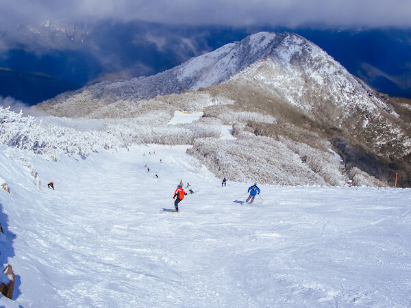 australian alps mt buller