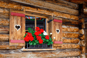 Window of wooden house with flowers