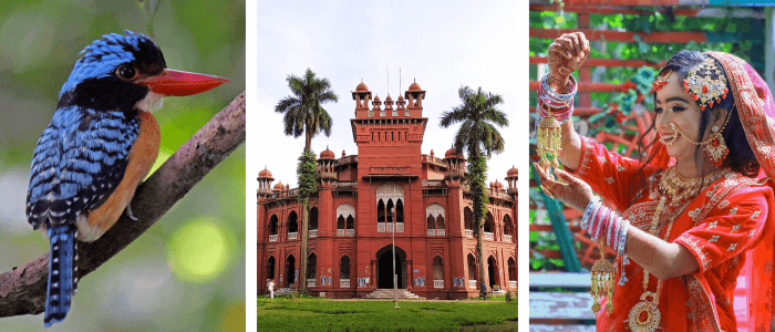 Bangladesh header