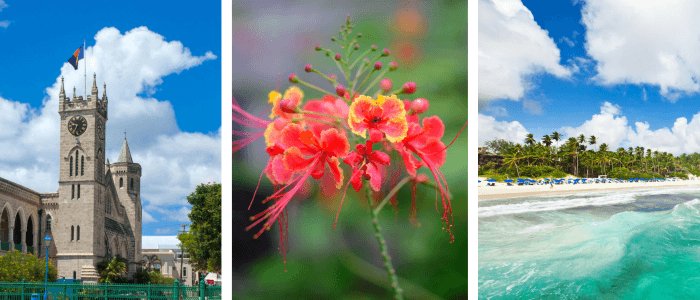 barbados header new