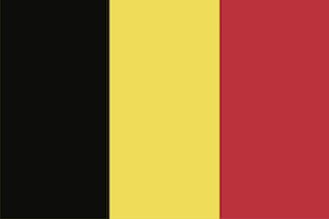 Belgian Flag with vertical stripes in black, yellow, red