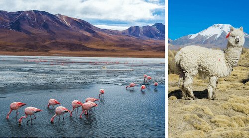Bolivia facts for kids: impressions
