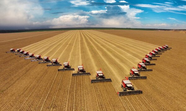 Brazil Soybean harvest with 22 harvesters in Mato Grosso - image by Kelvin Helen Haboski/shutterstock.com