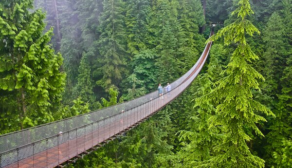 canada capilano suspension bridge