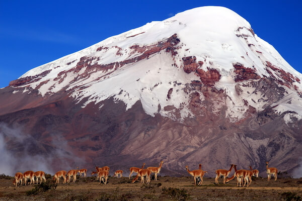 Chimborazo - Ecuador's highest mountain - image by EmilianoBarbieri/shutterstock.com