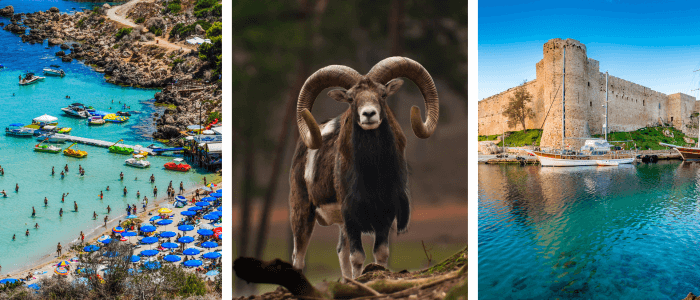 cyprus header