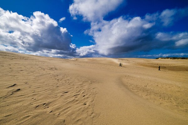 Rabjerg dunes near Skagen in Denmark