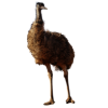 emu mini