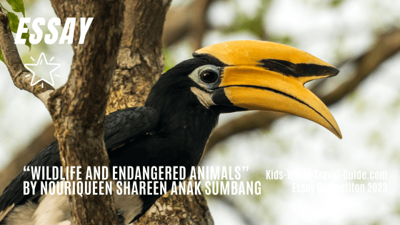 endangered animals essay