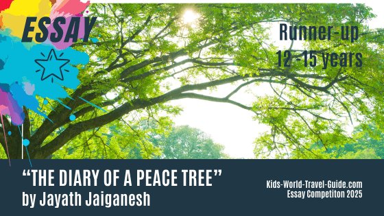 essay2025 diary of a peacetree