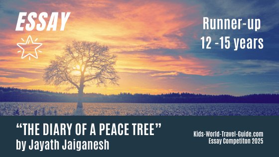 essay2025 peacetree