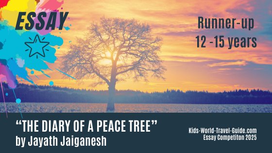 essay 2025 diary of a peacetree colour