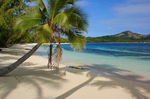 Oceania - Spiaggia delle Fiji con palma