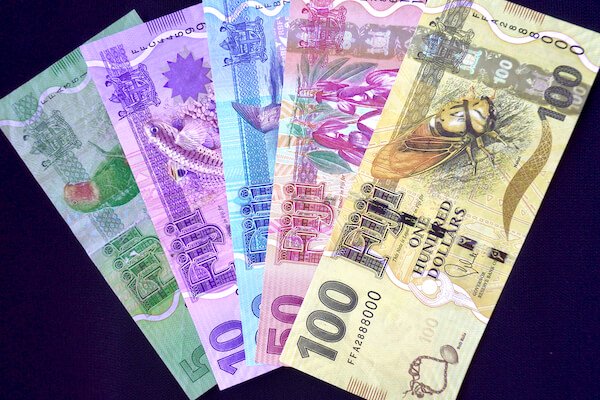 fiji banknotes