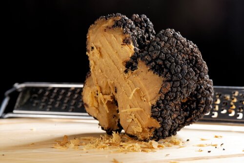 Rare black truffles