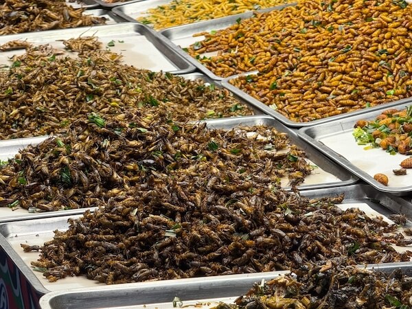 food fried insects