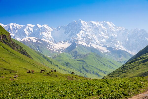 Montagne de Shkhara en Géorgie