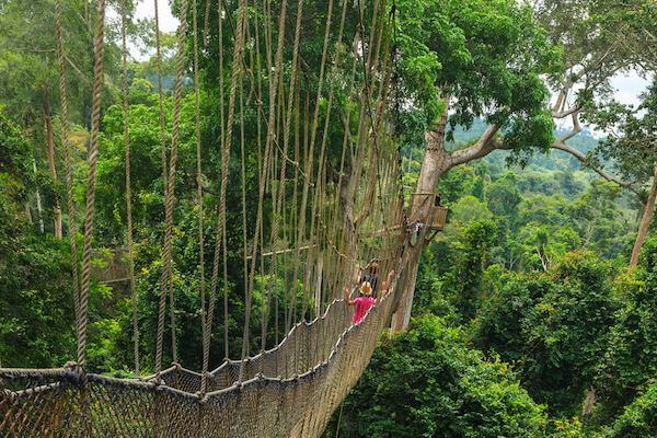 Canopy walk in Ghana's Kakum National Park