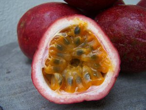 Granadilla