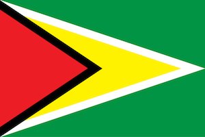 Guyana Flag