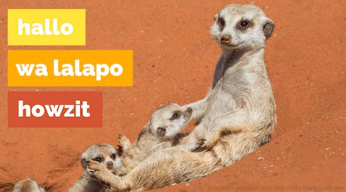 Namibia Meerkats by Ecoprint/Shutterstock - how to say hello in Namibia - Kids World Travel Guide.com