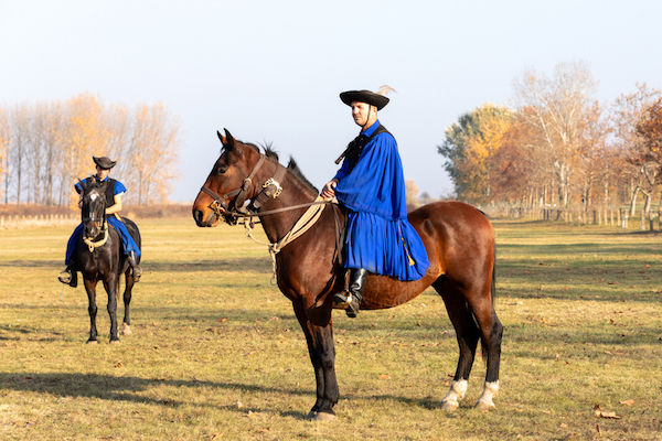 Hungarian Puszta Herdsman - image by Herman Artusch/shutterstock.com