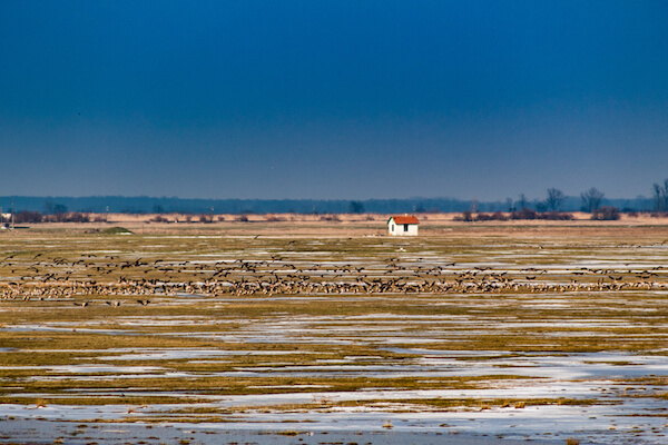 Hungary Puszta