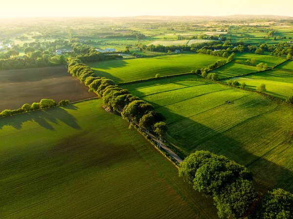 Green fields of Ireland