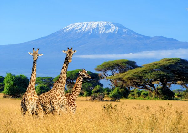 Amboseli National Park