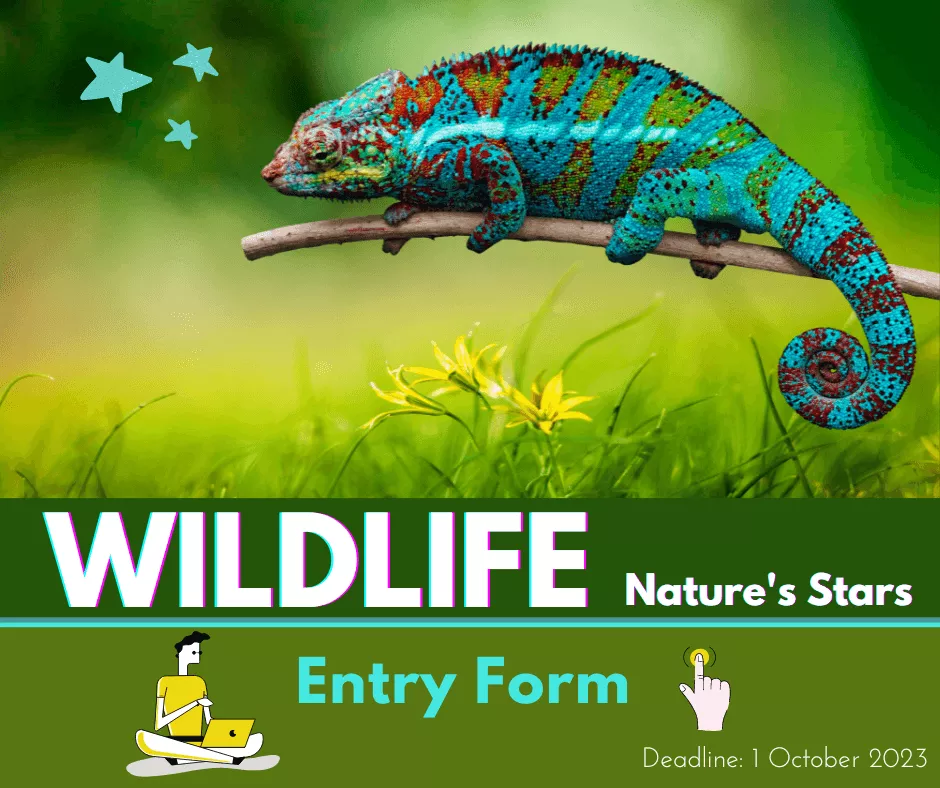 competition 2023 entry form competition 2023 entry form