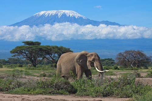 Africa Facts For Kids Africa For Kids Geography Travel People
