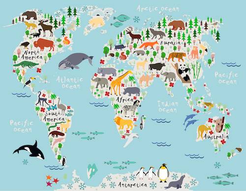 Discover the World with Our Interactive Map - Perfect for Kids