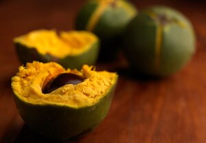 lucuma south america