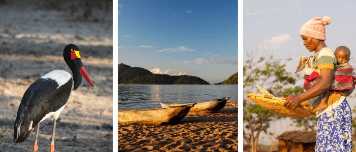 facts about malawi header