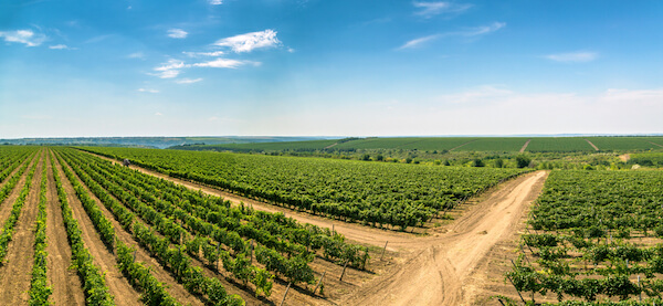 moldova wine valley