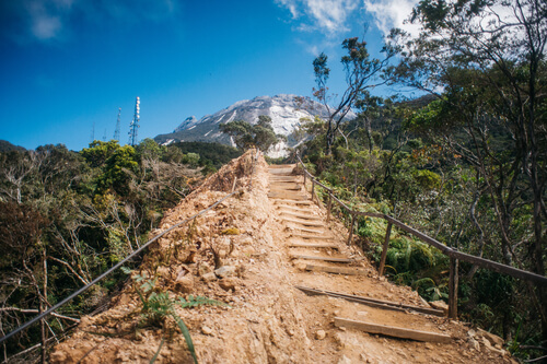 Hiking path up to Mount Kinabalu