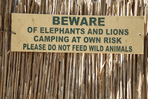 Namibia_wildlife_campsign_by_MichelPiccaya_Shutterstock