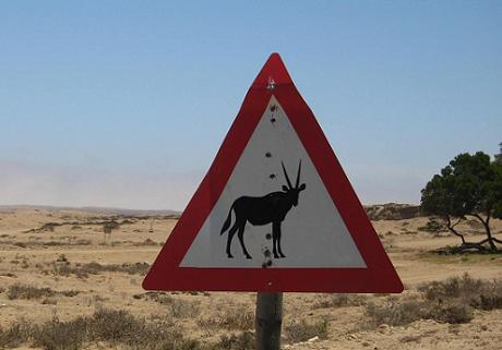 Namibia Oryx Warning sign