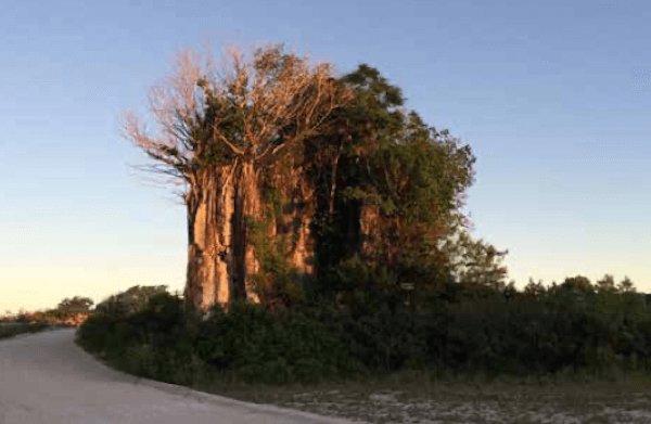 nauru pinnacle rock