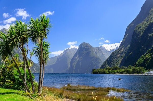 new zealand milford sound