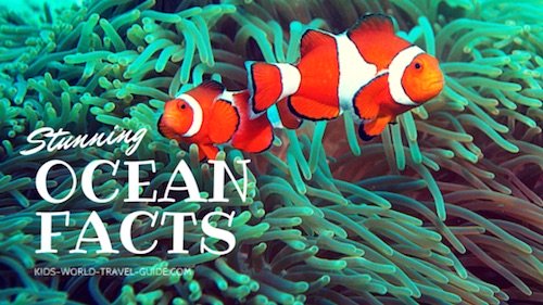 Ocean Facts for Kids by Kids World Travel Guide