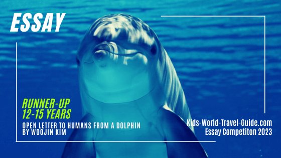 dolphin essay