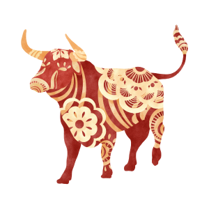 cny ox