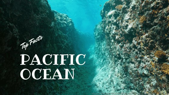 pacific ocean facts