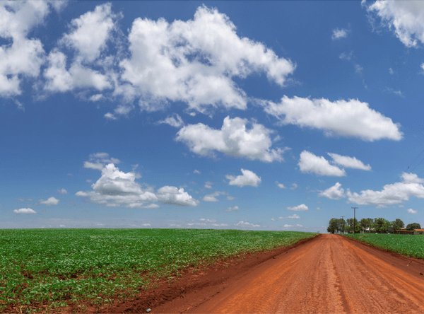 paraguay soybean plantation