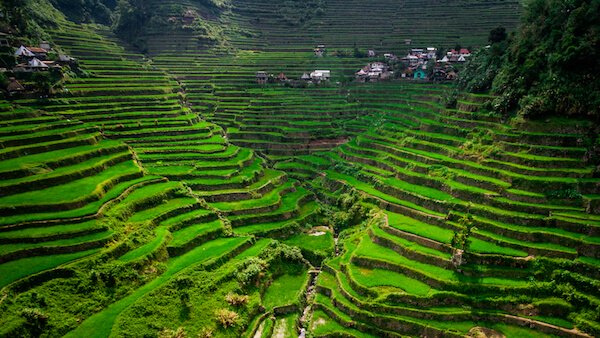 Philippines Batad Riceterraces