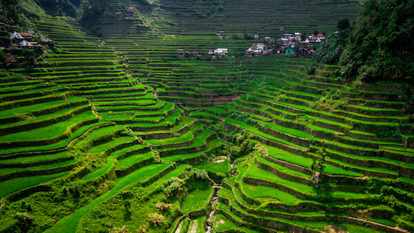 Philippines Batad Riceterraces