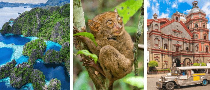 Philippines Facts for Kids: Palawan - Tarsier - Manila Jeppney