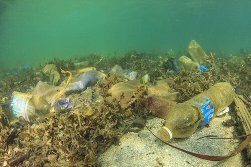 Ocean plastic trash