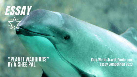 planet warriors essay porpoise